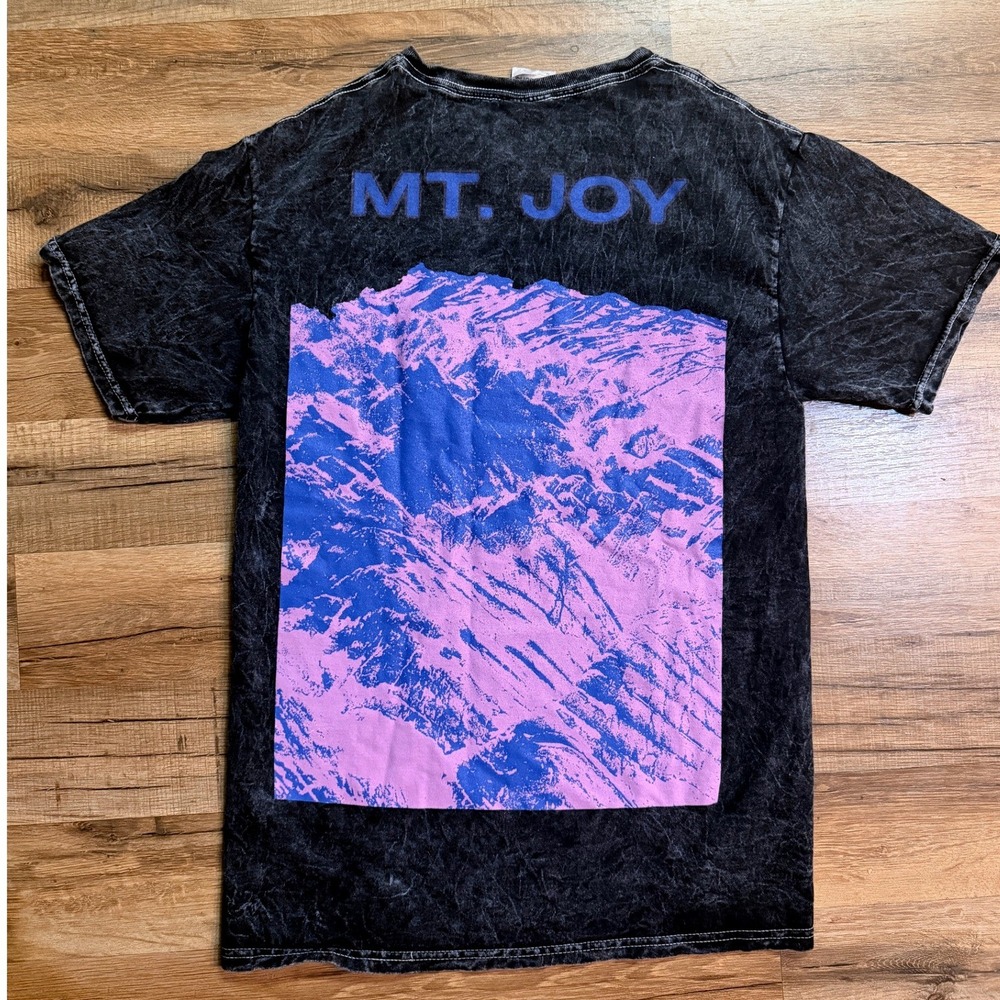 RARE Mt. Joy Band Tee Shirt Black Mineral Wash Indie Merch Small